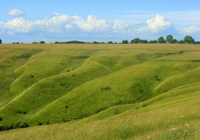 Eroded hillside near Oliver's Castle The escarpment here is at the edge of chalk downland. Chalk readily absorbs rainwater so surface water in the form of streams and pools is only seen where the ground is below the water table, there us very little run-off. These gullies and ridges were probably formed by the water table breaking through to the surface and running down the hillside. The level of the water table has been reduced by extraction over the last hundred years or so. These gullies and ridges are easily seen from a distance and make a useful pointer to Oliver's Castle. My thanks to other contributors to Geograph for their help with these comments. Nigel Mykura has supplied the following: This is from tiscali reference: Such valleys are common on the dip slopes of chalk escarpments, and were probably formed by rivers. However, chalk is permeable (water passes through it) and so cannot retain surface water. Two popular theories have arisen to explain how this might have happened: 1) During the last ice age the chalk might have frozen and been rendered impermeable. During the summer thaw, water would then have flowed over the land, unable to sink into it, and river valleys would have been formed. When, after the ice age, the chalk thawed and became permeable again, rivers could no longer flow along the valleys and so these became dry. 2) At the end of the last ice age so much meltwater might have been created that the water table would be far higher than it is today. This would have enabled water to flow over the chalk surface without being absorbed, and create valleys. As the water table fell with time, however, water passed through the chalk once more and the valleys became dry. Good examples include Devil's Dyke, Fulking, England, and the Vale of the White Horse, Oxfordshire, England.