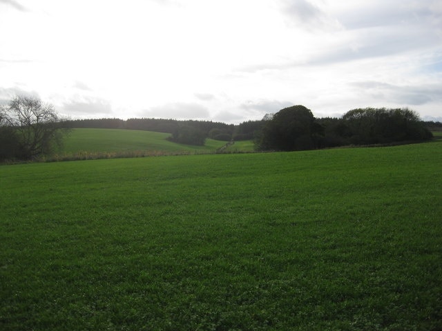 Lulworth area Fields NW of Park Lodge showing track to the centre entering Park Wood in the distance