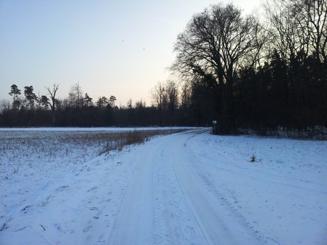 Hardtwald zwischen Graben-Neudorf und Stutensee