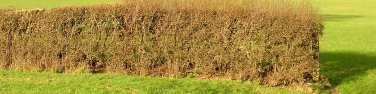 Photo "Threatening Skies over Muddles Green Sunshine in this grid square but heavy showers a few grid squares to the north. The buildings in the foreground are in Muddles Green, that with the scaffolding is this, 267457. The spire of Chiddingly church stands out amongst the grey clouds." by Simon Carey (Creative Commons Attribution-Share Alike 2.0) / Cropped from original