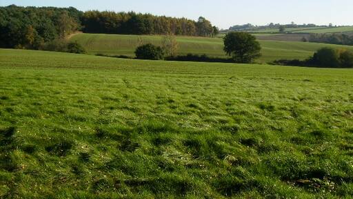 Photo "Scackleton" by Phil Catterall (CC BY-SA) / Cropped from original