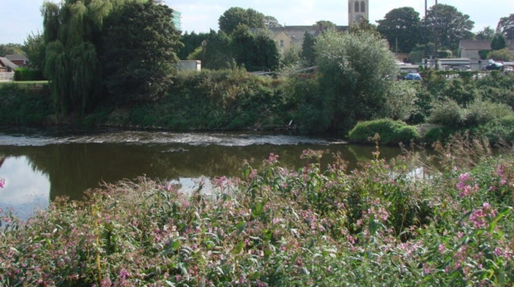 "Brotherton"-foto av Bill Henderson (CC BY-SA) / Urklipp från original