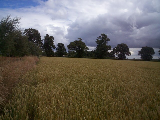 Foto „Thonock“ von Jonathan Clitheroe (CC BY-SA)/zugeschnittenes Original