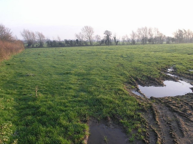 Wet Field and Brook A small brook follows the line of the hedge at the far side of this field.