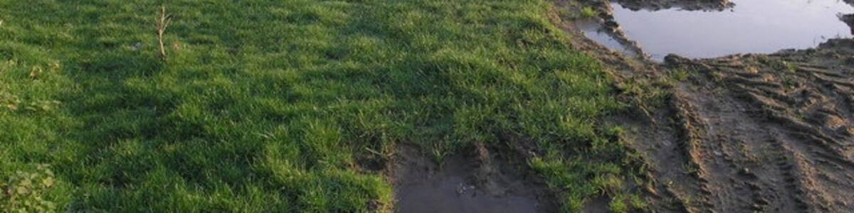 Photo "Wet Field and Brook A small brook follows the line of the hedge at the far side of this field." by Michael Patterson (Creative Commons Attribution-Share Alike 2.0) / Cropped from original