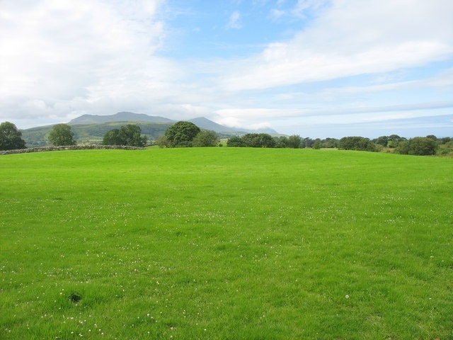 Improved pasture at Tan-y-bryn Farm The Gurn and Eifl Hills form the background.