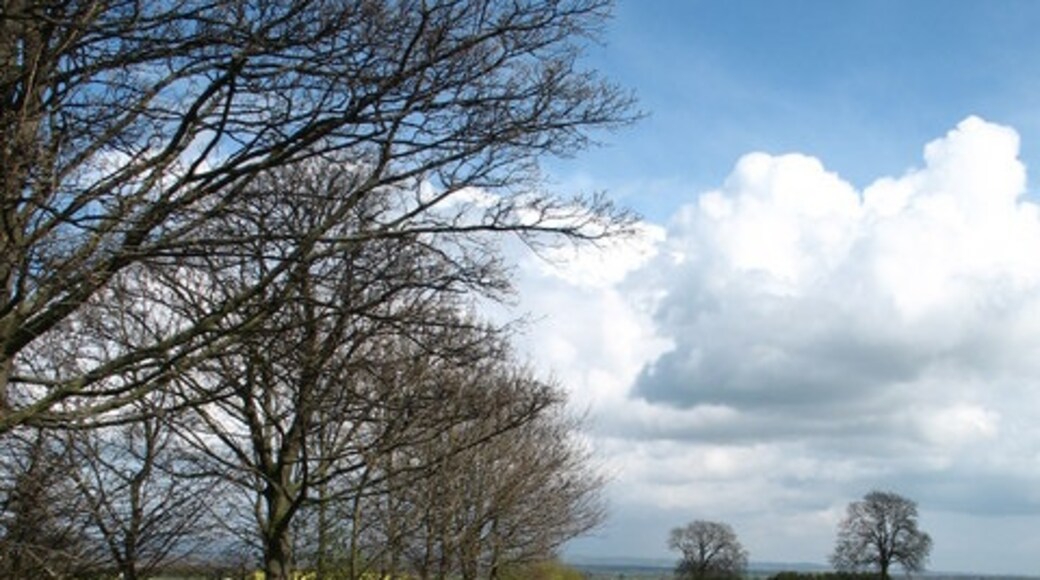 Foto “Kirby Hill” tomada por Gordon Hatton (CC BY-SA); recorte de la original