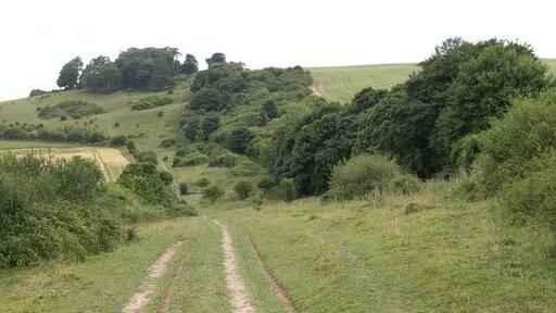 Foto “Laverstock” tomada por Derek Harper (CC BY-SA); recorte de la original