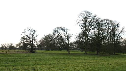 Photo "Little Ribston" by Gordon Hatton (CC BY-SA) / Cropped from original