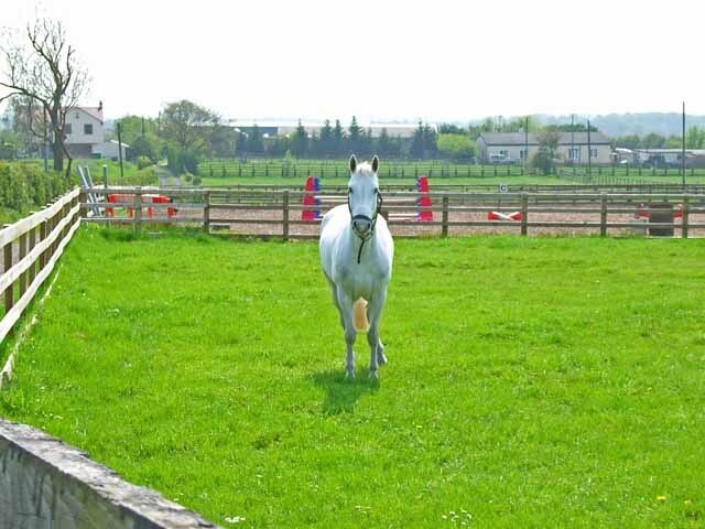 Foto „Redmarshall“ von Oliver Dixon (CC BY-SA)/zugeschnittenes Original