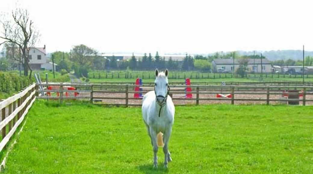 Foto „Redmarshall“ von Oliver Dixon (CC BY-SA)/zugeschnittenes Original