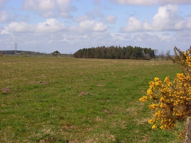 Billede "Hesket" af Andrew Smith (CC BY-SA) / beskåret fra det originale billede
