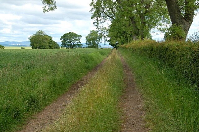 Track near Balone Short farm track to fields to the NW of Balone