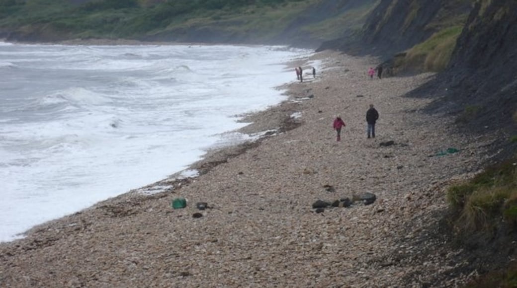 Photo "Charmouth Beach" by Nigel Mykura (CC BY-SA) / Cropped from original