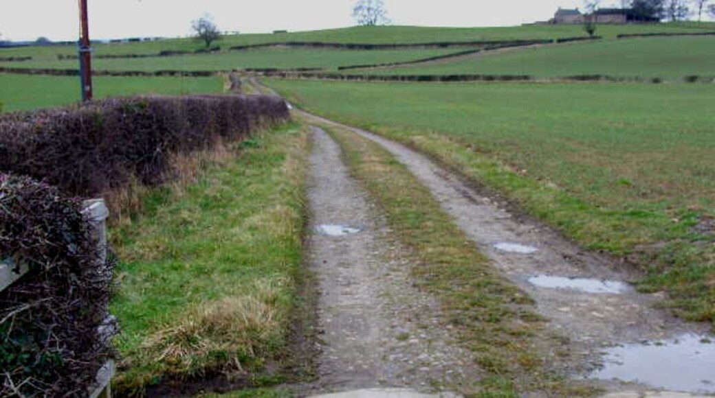 Photo "Newton-le-Willows" by Oliver Dixon (CC BY-SA) / Cropped from original