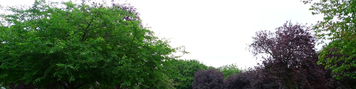 Photo "A park near Hounslow Central station, by their Civic Centre. It has this rather nice little flower garden, as well as lots of fields. Photo taken September 2012. Owner: London Borough of Hounslow." by Ewan Munro (Creative Commons Attribution-Share Alike 2.0) / Cropped from original