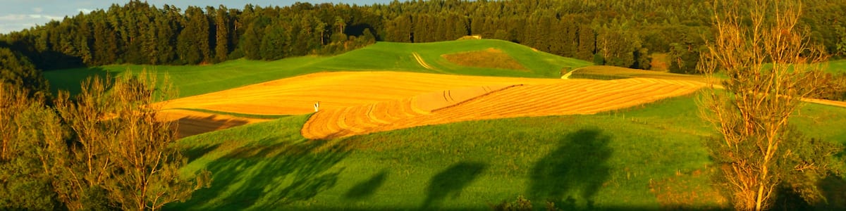 Photo "Fields" by Dg-505 (Creative Commons Attribution 3.0) / Cropped from original