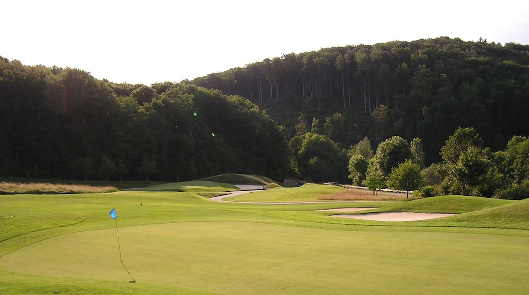 "Golfclub Markgräflerland"-foto av marchess (CC BY-SA) / Urklipp från original