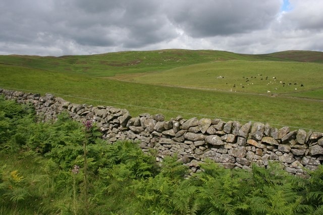 Darny Rig Typical scenery in the Moorfoot Hills. The lower ground is mainly pasture, with heather moor above, and the field boundaries are all dry stane dykes.