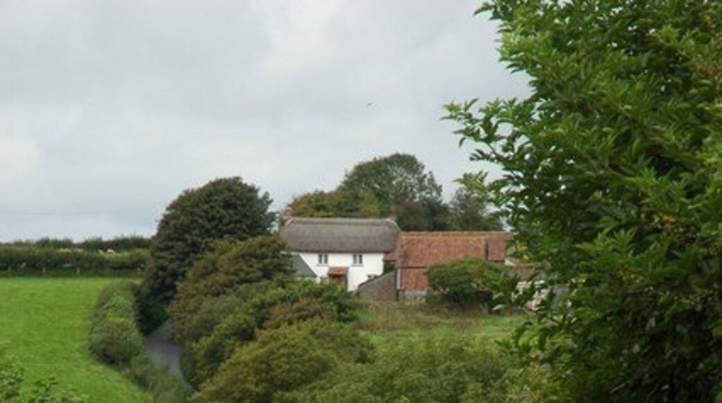 Billede "Roborough" af Philip Halling (CC BY-SA) / beskåret fra det originale billede