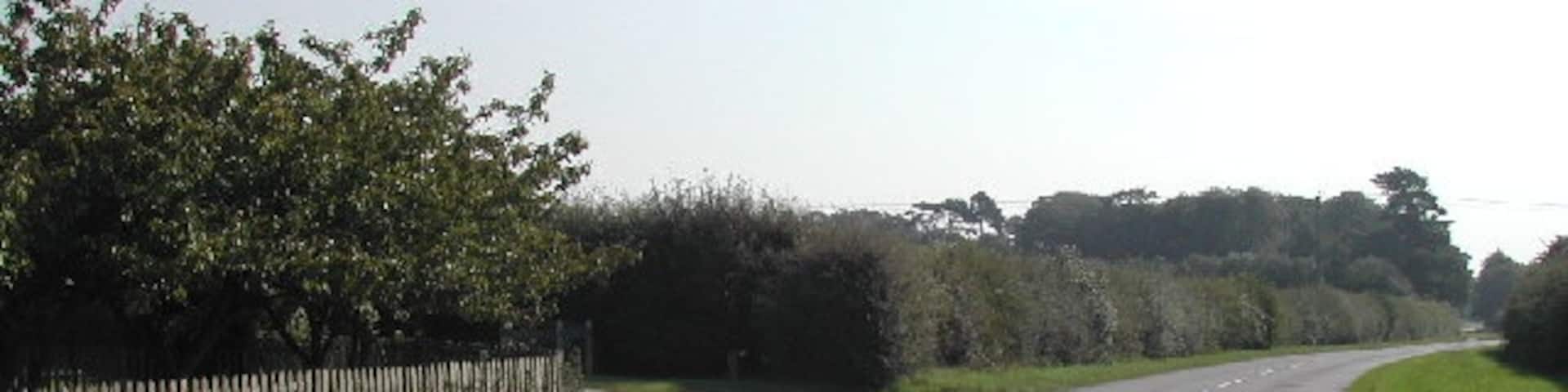 Tenman Lane, Car Colston. Car Colston Stud Farm entrance is seen on the left