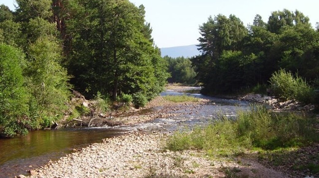 « Coylumbridge», photo de Richard Webb (CC BY-SA) / rognée de l’originale