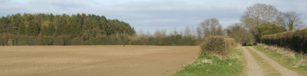 Photo "Fieldbarn Drove A byway south of Gooderstone." by Jonathan Billinger (Creative Commons Attribution-Share Alike 2.0) / Cropped from original