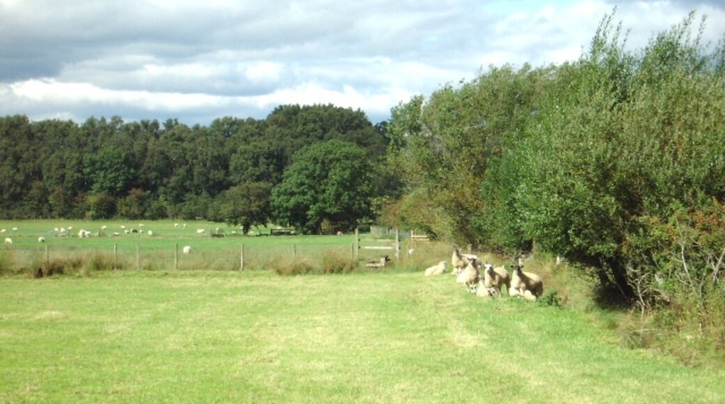 Photo "Musgrave" by Alexander P Kapp (CC BY-SA) / Cropped from original