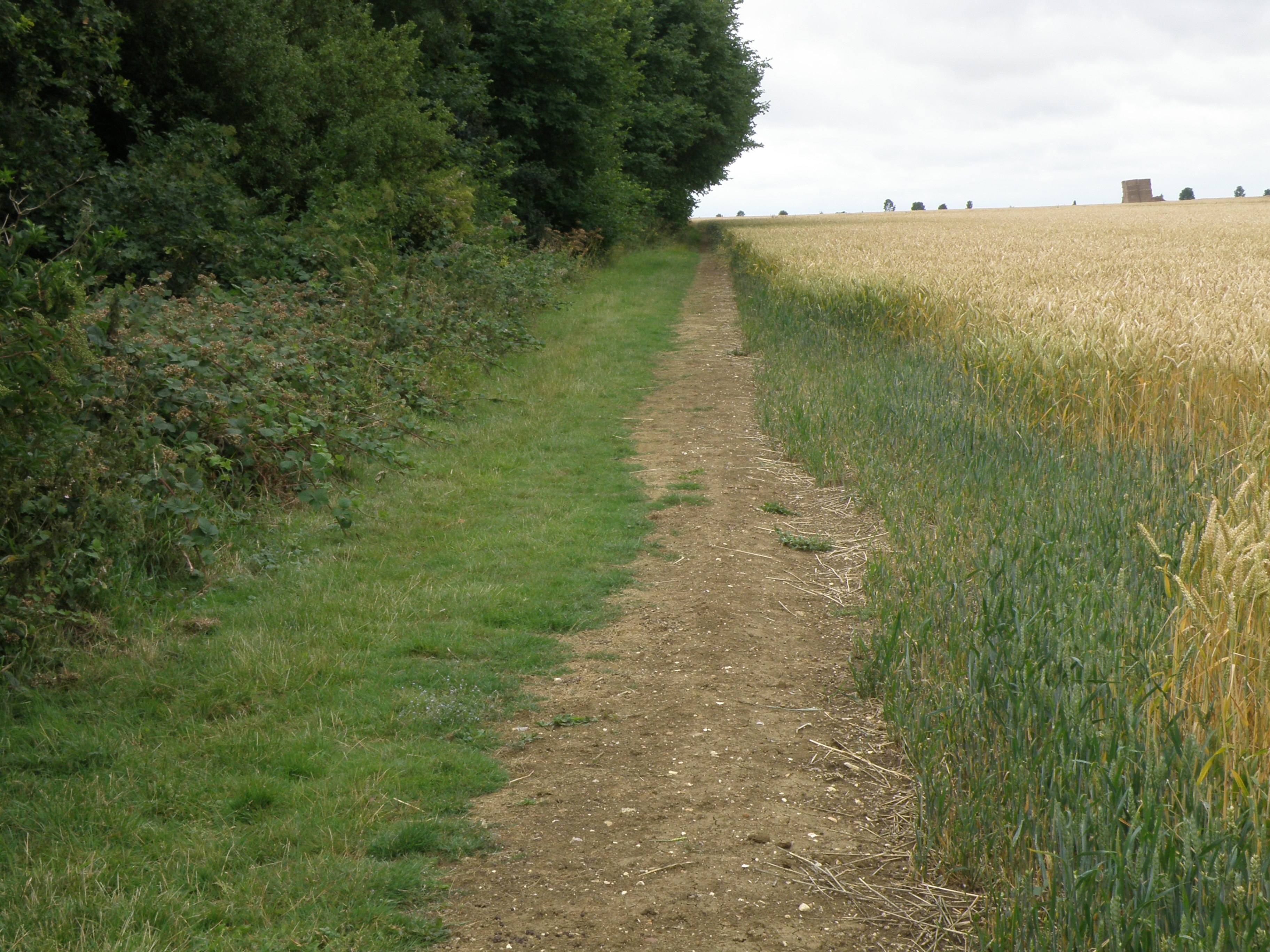 Foto “Buckworth” tomada por Michael Trolove (CC BY-SA); recorte de la original