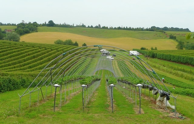"Oxenhall"-foto av Jonathan Billinger (CC BY-SA) / Urklipp från original