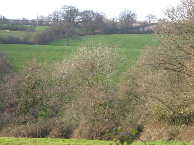 Near Spain Farm. View looking NNW from the lane bend, across the valley of a tributary of the Clyst.