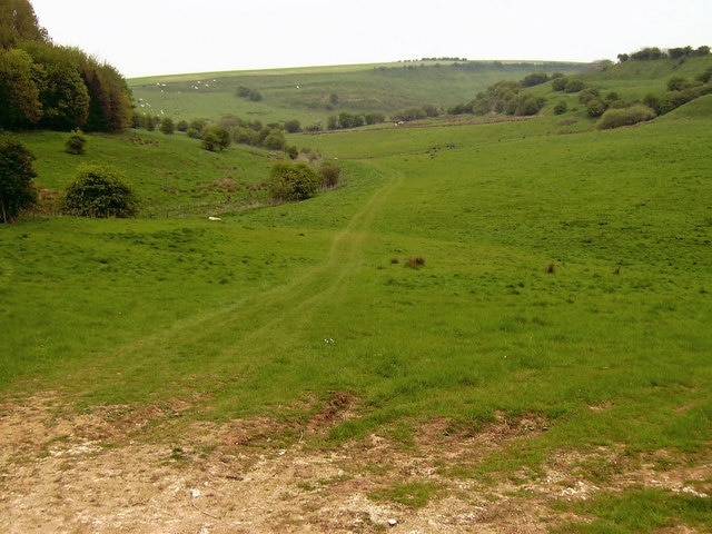 Beck and Wolds: The course of Nettleton Beck can be seen on the left, and also sheep and cows grazing quietly and contentedly on the hills.