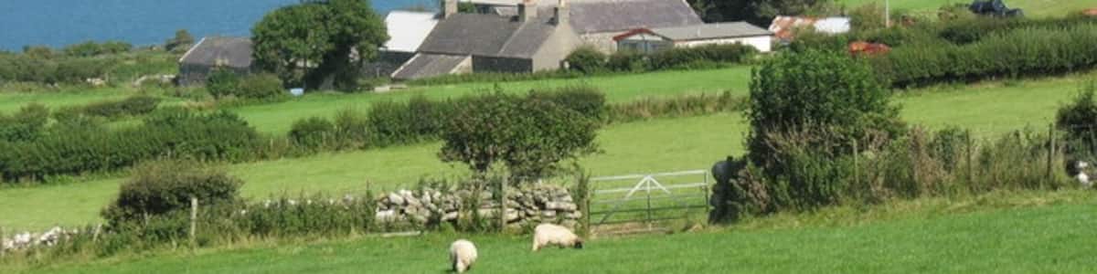 Photo "Fields above Pen-maen farmhouse" by Eric Jones (Creative Commons Attribution-Share Alike 2.0) / Cropped from original
