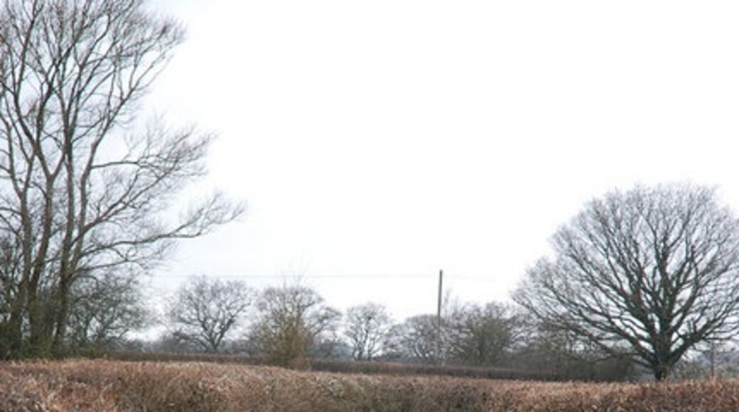 Foto "Lydlinch" por Toby (CC BY-SA) / Recortada de la original