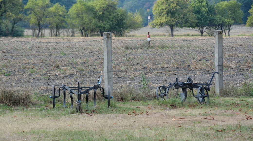 « Welzow», photo de Nightflyer (CC BY-SA) / rognĂ©e de lâoriginale
