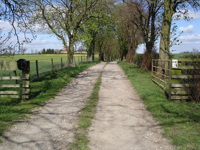 Billede "Appleton Wiske" af Frank Glover (CC BY-SA) / beskåret fra det originale billede