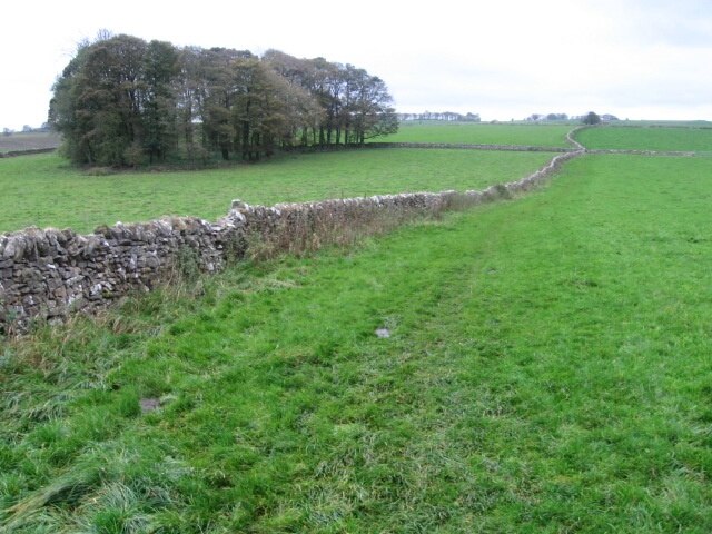 Footpath from Flagg