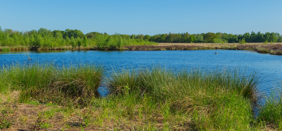 This is a picture of the protected area listed at WDPA under the ID
