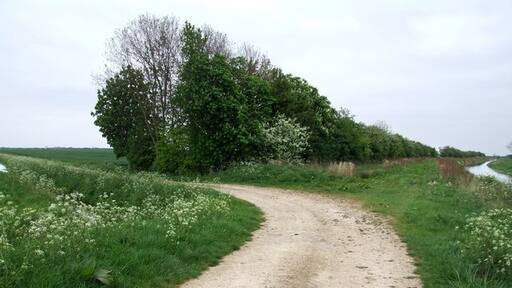 Foto „West Fen“ von Dave Hitchborne (CC BY-SA)/zugeschnittenes Original