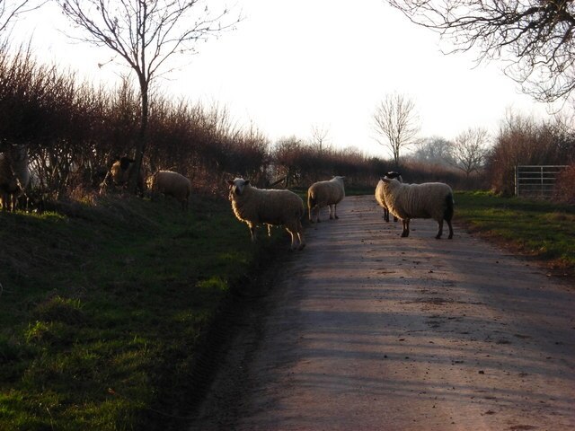 "Woodend"-foto av Paul Broadfield (CC BY-SA) / Urklipp från original