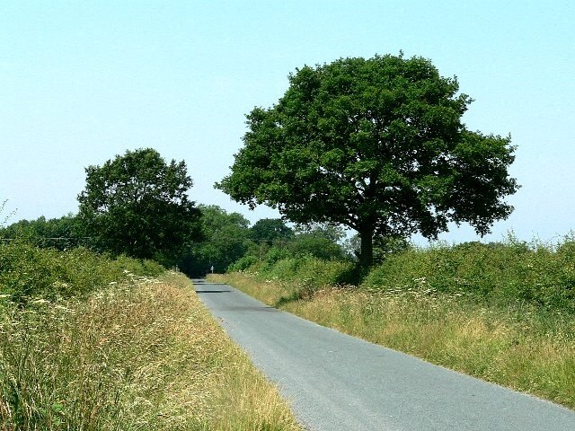 Ảnh "Cliffe" của Roger Gilbertson (CC BY-SA) / Cắt từ ảnh gốc