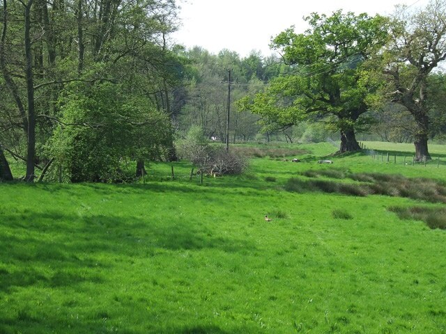 "Badger"-foto av Roger Kidd (CC BY-SA) / Urklipp från original