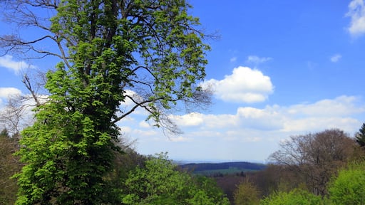 Bildet «Seeheim-Jugenheim» tatt av AxeldieRatte (CC BY-SA) / originalbilde beskjært