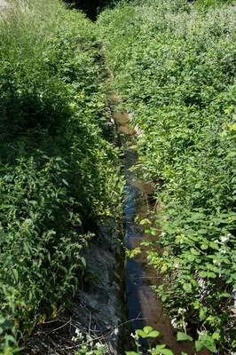 Ohlebach, Verlauf parallel zur B 449