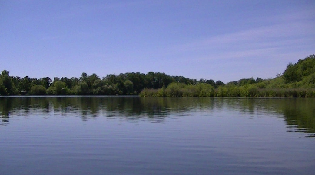 « Grand lac de Plön», photo de humungoulus (CC BY) / rognée de l’originale