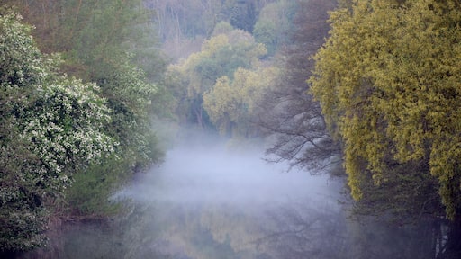Foto „Horb am Neckar“ von Frank Havenot (CC BY-SA)/zugeschnittenes Original