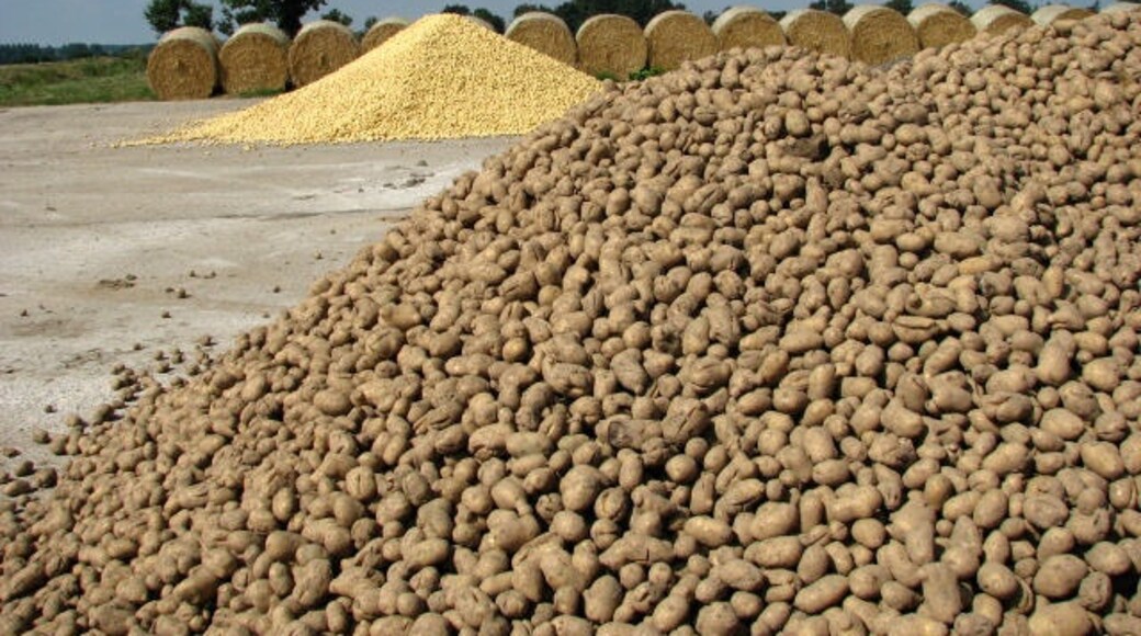 Photo "Suffield" by Evelyn Simak (CC BY-SA) / Cropped from original