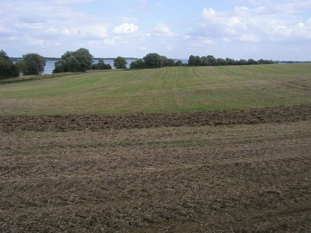 Foto “Perry” tomada por Shaun Ferguson (CC BY-SA); recorte de la original