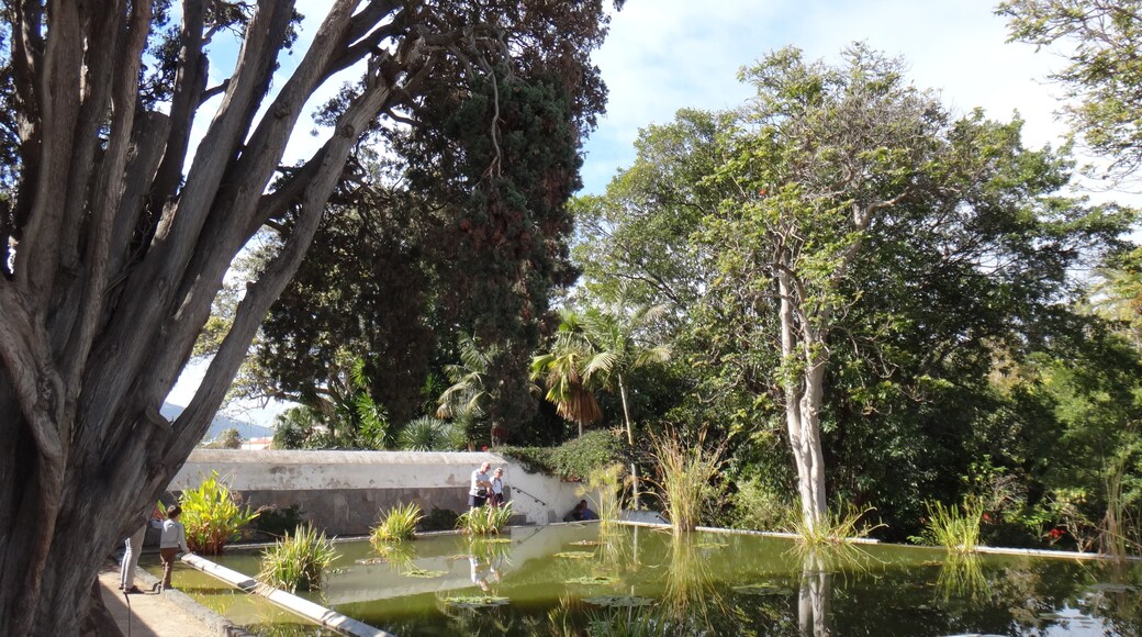 Kuva ”Botanical Gardens” käyttäjältä karel291 (CC BY) / rajattu alkuperäisestä kuvasta