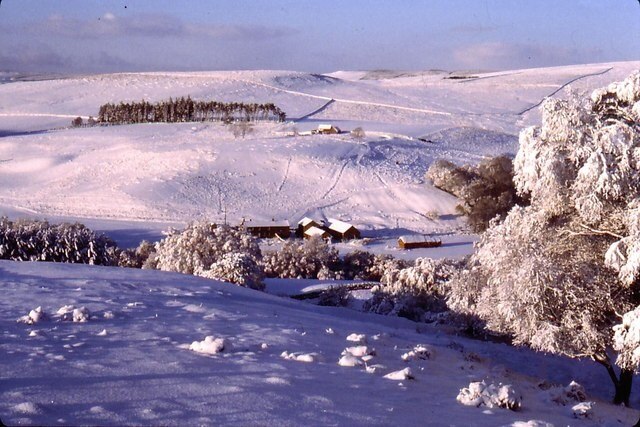 Tarset Valley in Winter